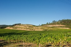 株式会社モトックスのプレスリリース画像2