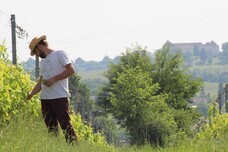 株式会社モトックスのプレスリリース画像4