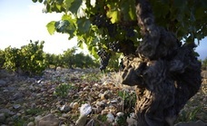 株式会社モトックスのプレスリリース画像2