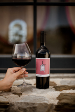 株式会社モトックスのプレスリリース画像2