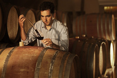 株式会社モトックスのプレスリリース画像3