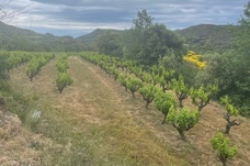 株式会社モトックスのプレスリリース画像4