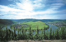 株式会社モトックスのプレスリリース画像3