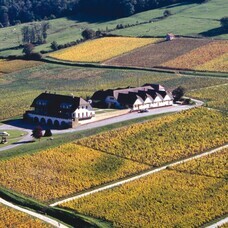 株式会社モトックスのプレスリリース画像6