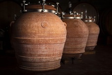 株式会社モトックスのプレスリリース画像2