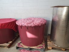 株式会社モトックスのプレスリリース画像2