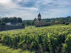 株式会社モトックスのプレスリリース画像2