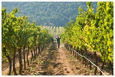 株式会社モトックスのプレスリリース画像2