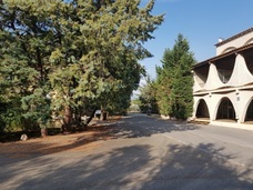 株式会社モトックスのプレスリリース画像4