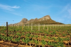 株式会社モトックスのプレスリリース画像4