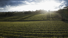 株式会社モトックスのプレスリリース画像3