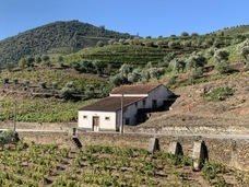 株式会社モトックスのプレスリリース画像5