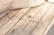 株式会社モトックスのプレスリリース画像2