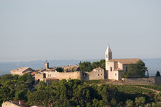 株式会社モトックスのプレスリリース画像3