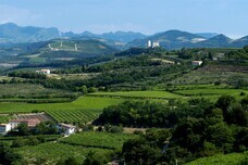 株式会社モトックスのプレスリリース画像2