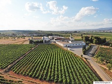 株式会社モトックスのプレスリリース画像2