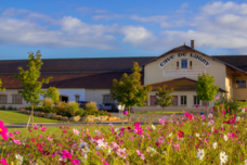 株式会社モトックスのプレスリリース画像2