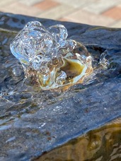 株式会社モトックスのプレスリリース画像1