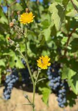 株式会社モトックスのプレスリリース画像4