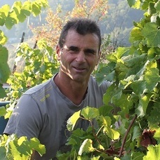 株式会社モトックスのプレスリリース画像3