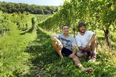 株式会社モトックスのプレスリリース画像4