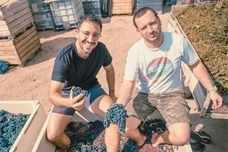 株式会社モトックスのプレスリリース画像1