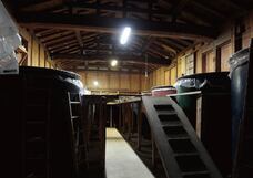 株式会社モトックスのプレスリリース画像2