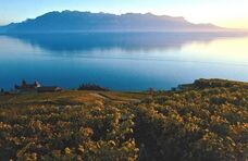 株式会社モトックスのプレスリリース画像4