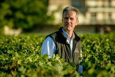 株式会社モトックスのプレスリリース画像2