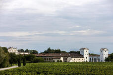 株式会社モトックスのプレスリリース画像6