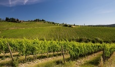 株式会社モトックスのプレスリリース画像2