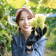 株式会社モトックスのプレスリリース画像1