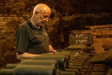 株式会社モトックスのプレスリリース画像1