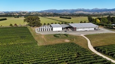 株式会社モトックスのプレスリリース画像3