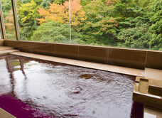 株式会社REHA・ツーリズムのプレスリリース画像1