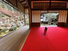 株式会社REHA・ツーリズムのプレスリリース画像1