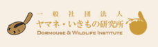一般社団法人ヤマネ・いきもの研究所のプレスリリース画像1