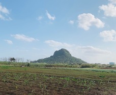 合同会社nishinsuni.comのプレスリリース画像2