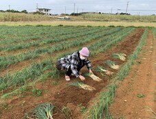 合同会社nishinsuni.comのプレスリリース画像6