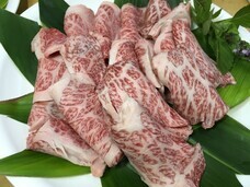 合同会社nishinsuni.comのプレスリリース画像4