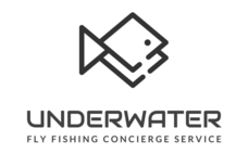 Underwaterのプレスリリース画像1