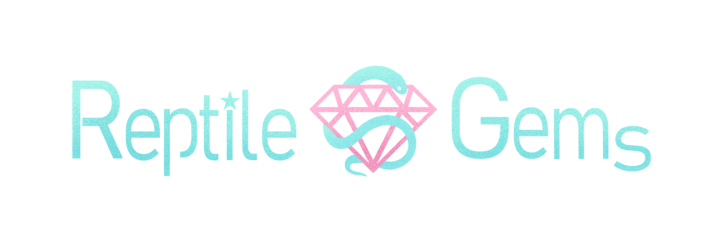 爬虫類shop 雑貨店 兼カフェの起業を目指して Reptile Gemsのプレスリリース