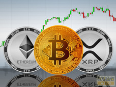 株式会社　ミルフィーユのプレスリリース画像2