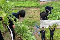 三共経営パートナーズのプレスリリース画像2