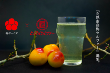 ヒノマルセルツァーのプレスリリース画像1