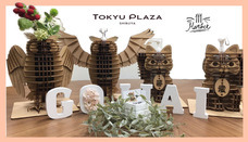 株式会社シャイン・フューチャーのプレスリリース画像1