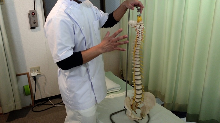 妖艶なだけじゃない!ベリーダンスを筑波大学で共同研究 〜コロナ禍でも本来の自分で輝く女性のための"踊る整体TILTASARI"