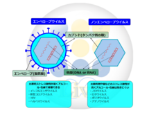 株式会社ライブのプレスリリース画像1