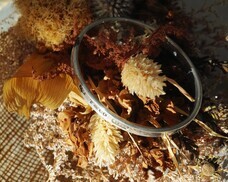 株式会社KANEHACHIのプレスリリース画像3