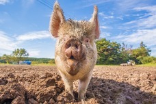 株式会社Lyactのプレスリリース画像5